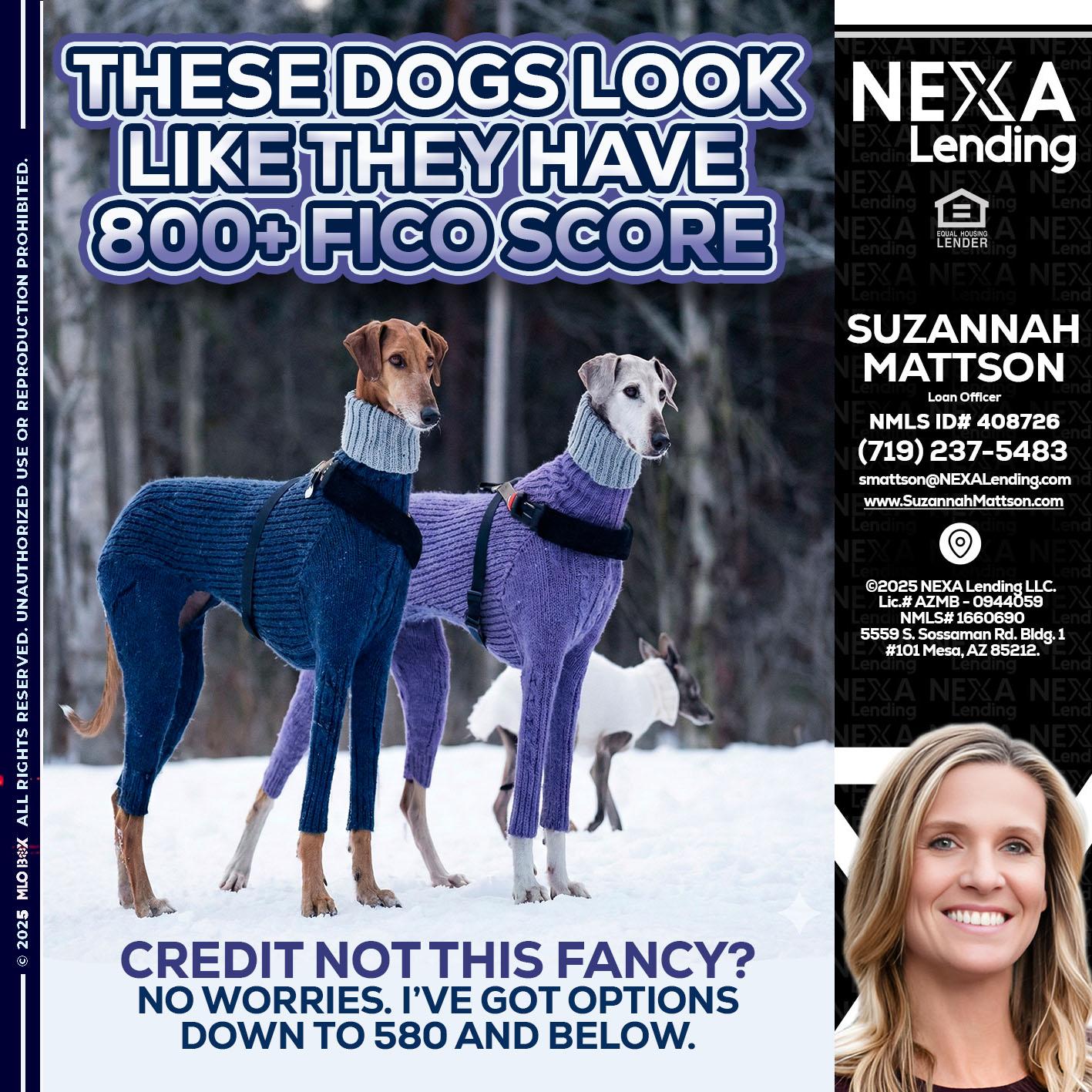 THESE DOGS LOOK - Suzannah Mattson -Brokering Loan Officer